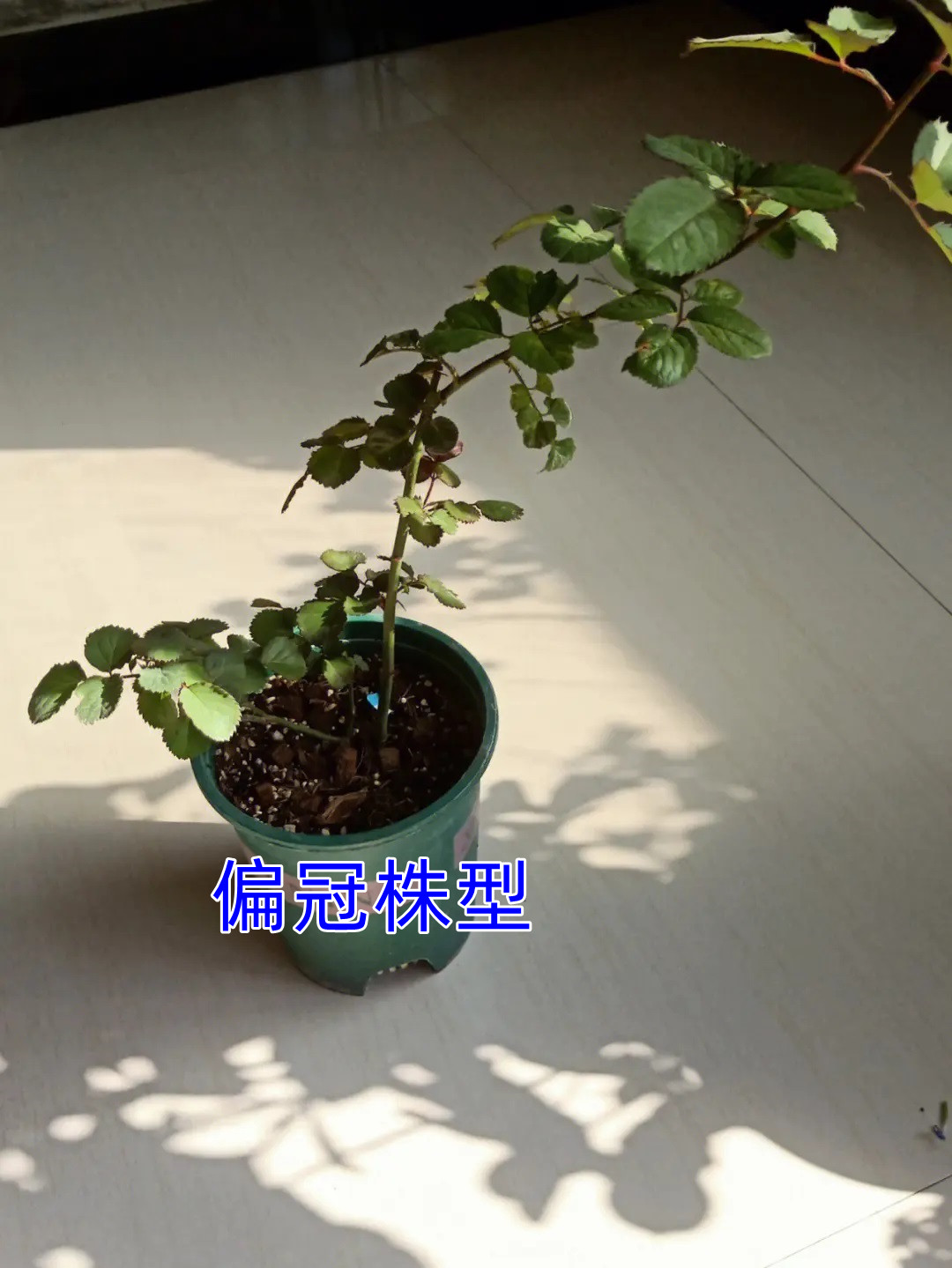 src=http __safe-img.xhscdn.com_bw1_3698d3c7-15b3-4a63-97f7-cc6bda386d3e imageVie.jpg