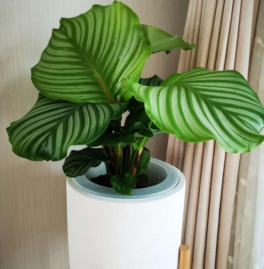 1000019467_1524381926_副本.jpg