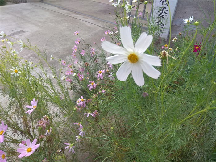 IMG_20190812_095521_副本.jpg