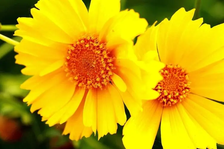 08.webp