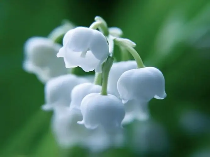 4.webp